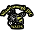 Wanborough JFC