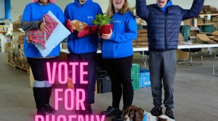 Vote for Phoenix Enterprises!