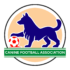 Dog Football Sessions